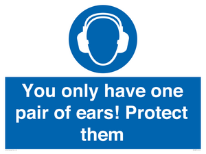 Mandatory: You only have one pair of ears! Protect them